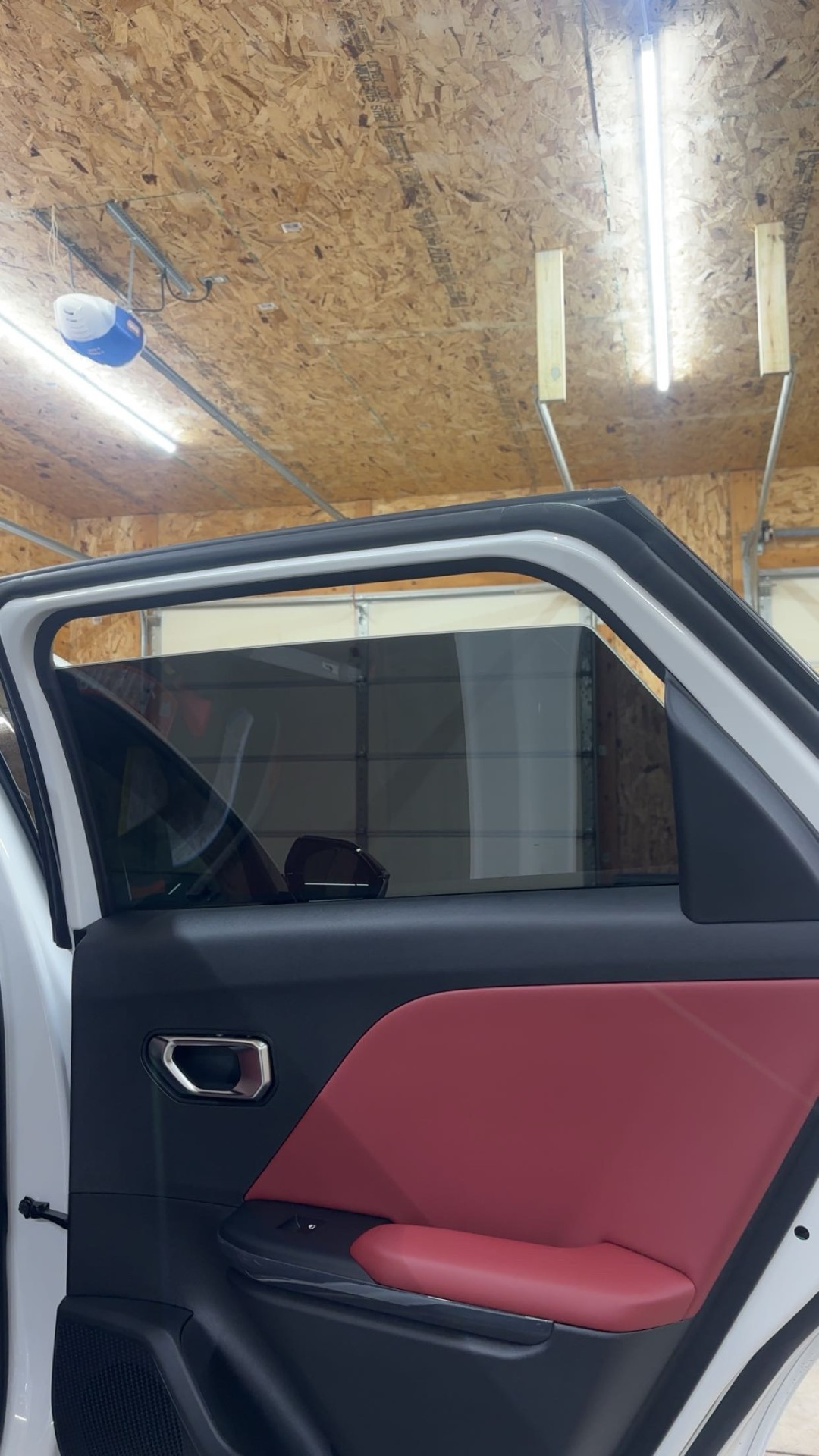 Rear Door — Privacy Tint